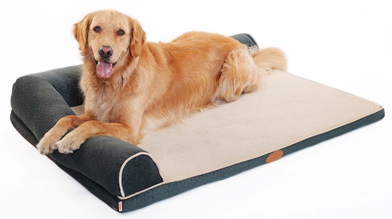 Cómo elegir la mejor cama para tu perro