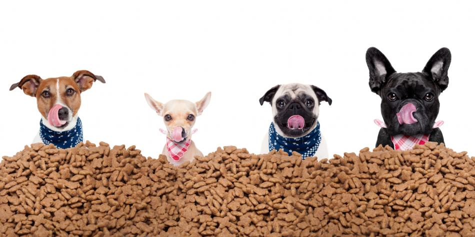 Qué es la comida para perros deshidratada